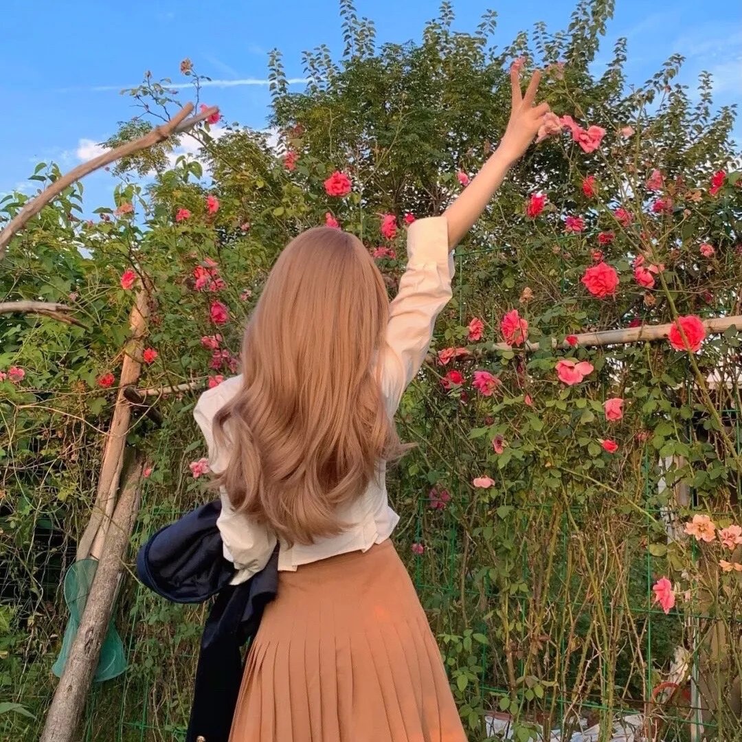 菜菜子解体诊书